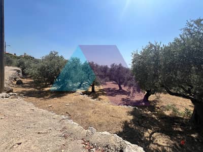 1260 m2 Land Suitable For A Villa for sale in Chikhan / Jbeil