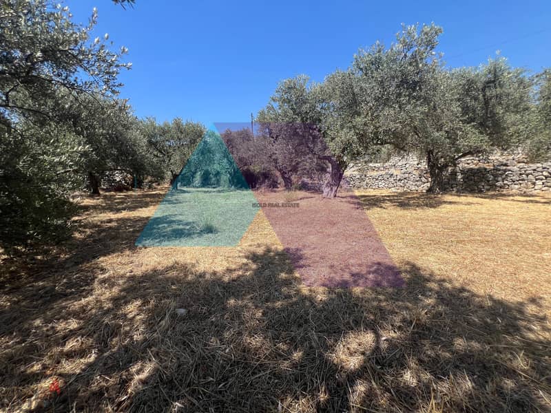 1260 m2 Land Suitable For A Villa for sale in Chikhan / Jbeil 1