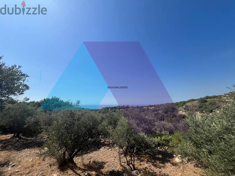 A 4121 m2 land having an open mountain view for sale in Monsef 2