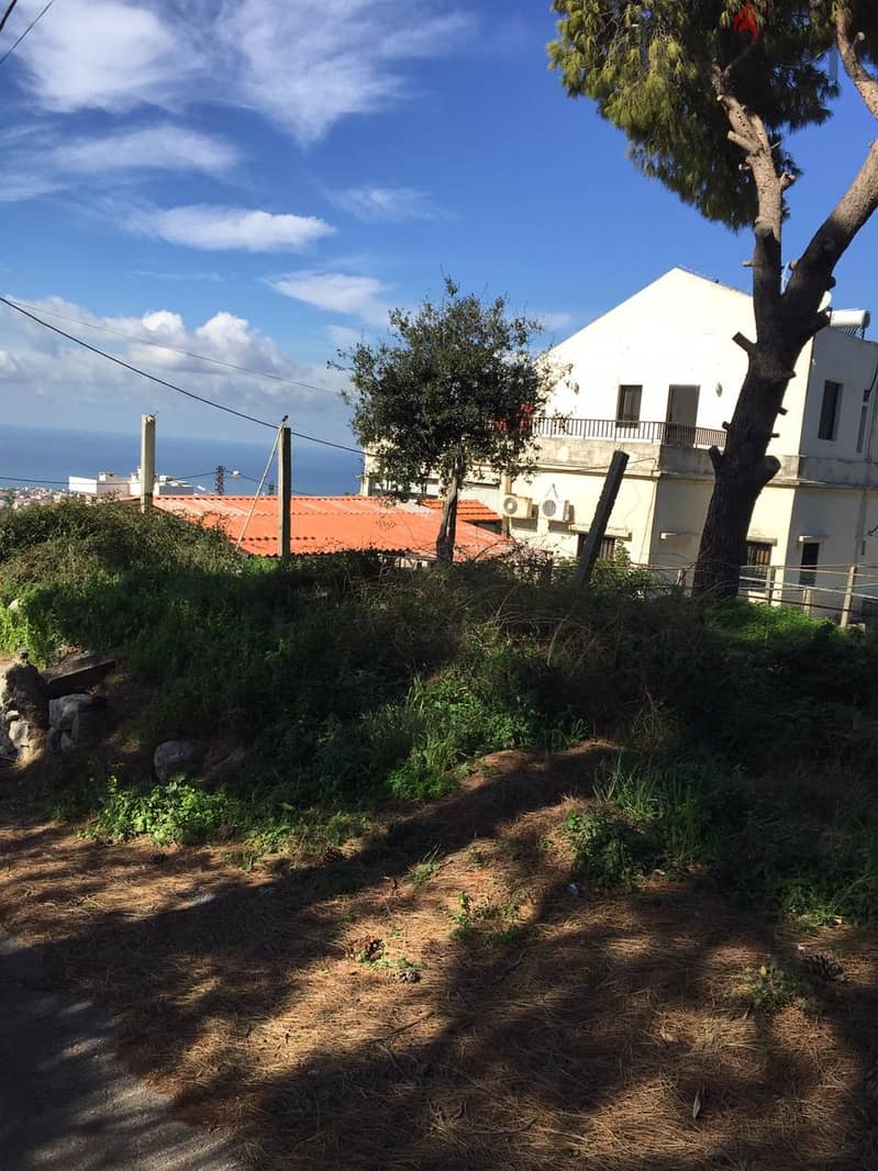 L15621-Big Land for Sale In Kfarmashoun, Jbeil 1