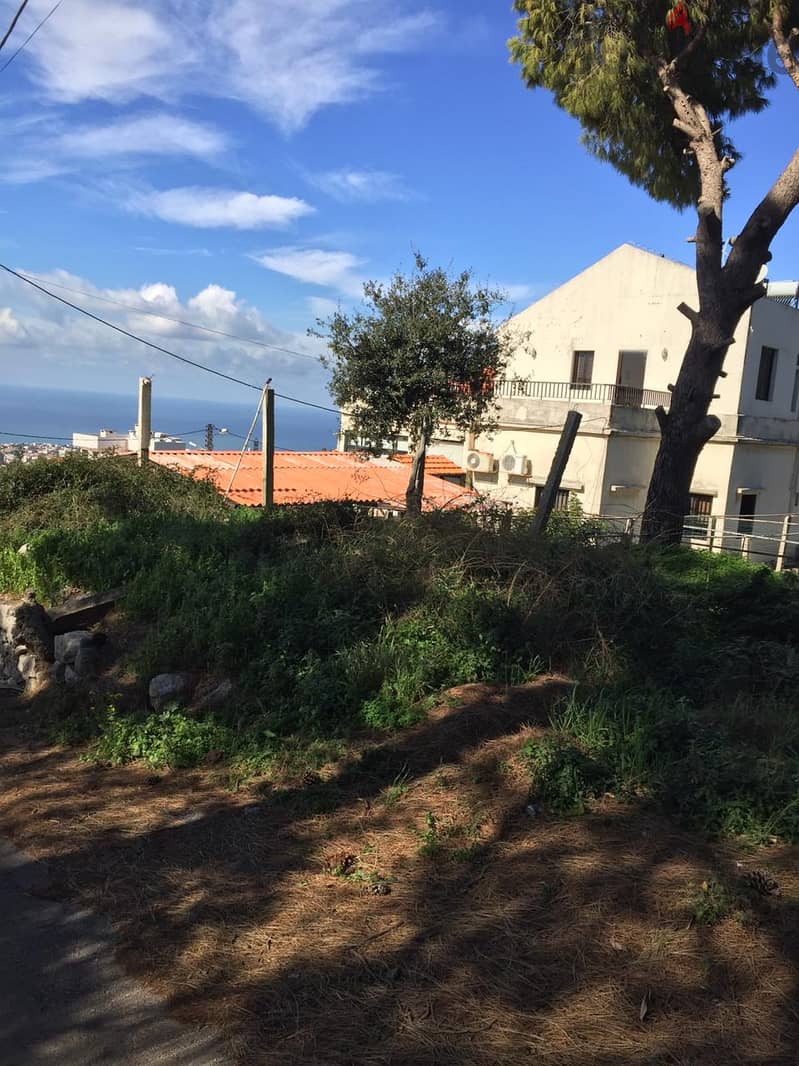 L15621-Big Land for Sale In Kfarmashoun, Jbeil 2