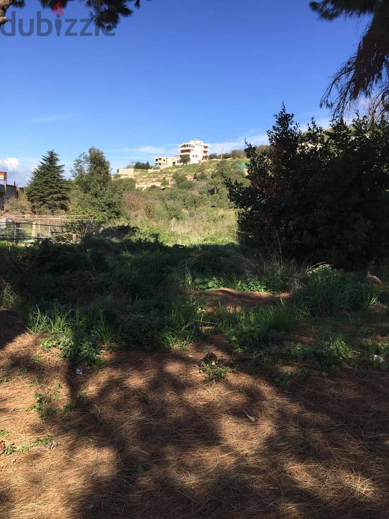 L15621-Big Land for Sale In Kfarmashoun, Jbeil 3