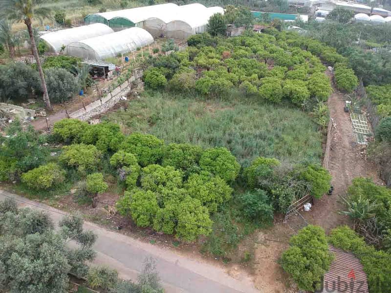 Land For Sale In Batroun | 1246 SQM Residential | أرض للبيع |PLS 26069 2