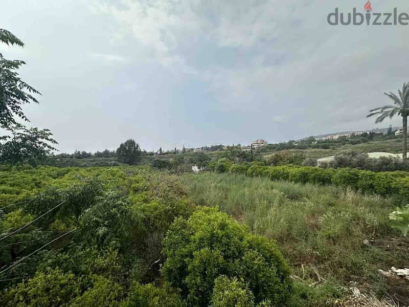 Land For Sale In Batroun | 1246 SQM Residential | أرض للبيع |PLS 26069 4