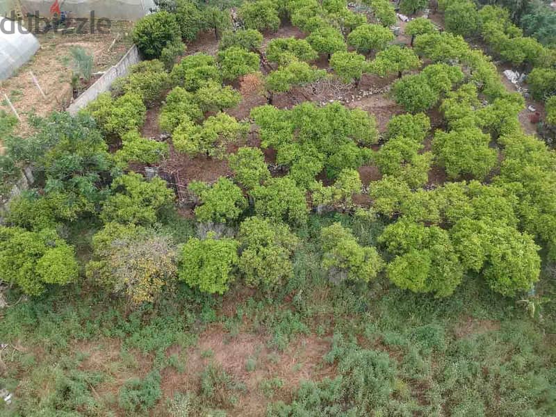 Land For Sale In Batroun | 1246 SQM Residential | أرض للبيع |PLS 26069 5