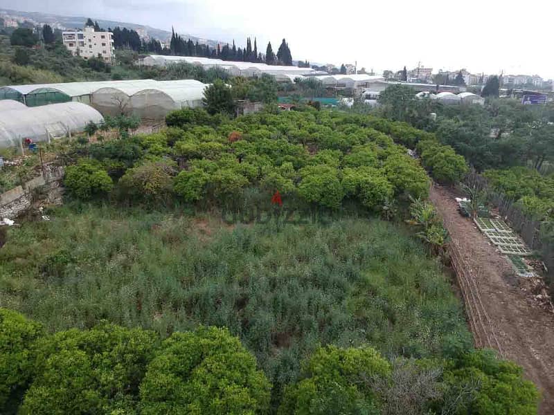 Land For Sale In Batroun | 1246 SQM Residential | أرض للبيع |PLS 26069 8