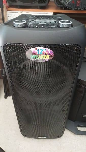 speaker 2x12 inch with 2 mic wireless