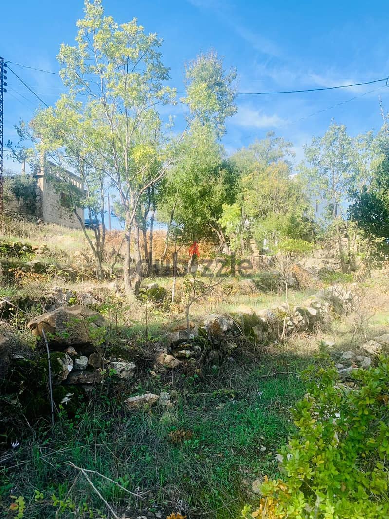 Land for sale in Ghbeleh أرض للبيع في غبالة 11