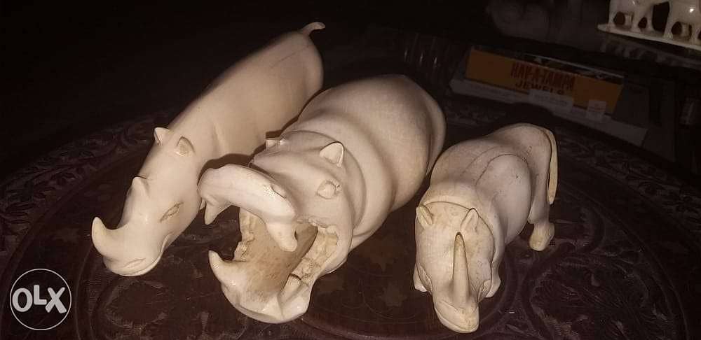 وحيد القرن وفرس النهر سعرهم   250$ 1