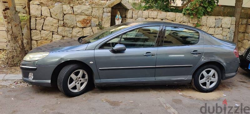 Peugeot 407 2005 4