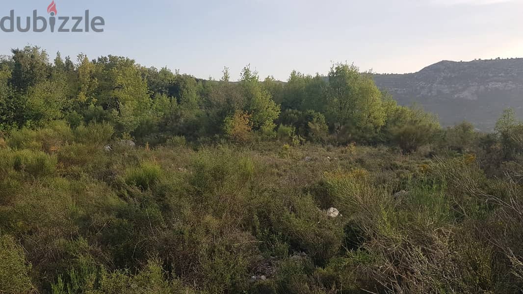 Land in Lehfed / Jbeil for saleأرض للبيع في لحفد / جبيل 1