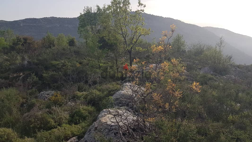 Land in Lehfed / Jbeil for saleأرض للبيع في لحفد / جبيل 5