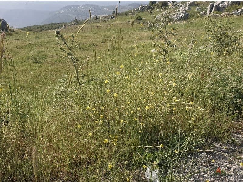 Land for sale in Hrajel,keserwan عقار للبيع في حراجل،كسروان 0