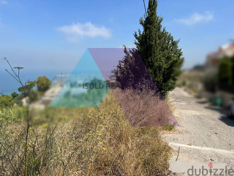 A 813 m2 land having an open mountain/sea view for sale in Halat 2