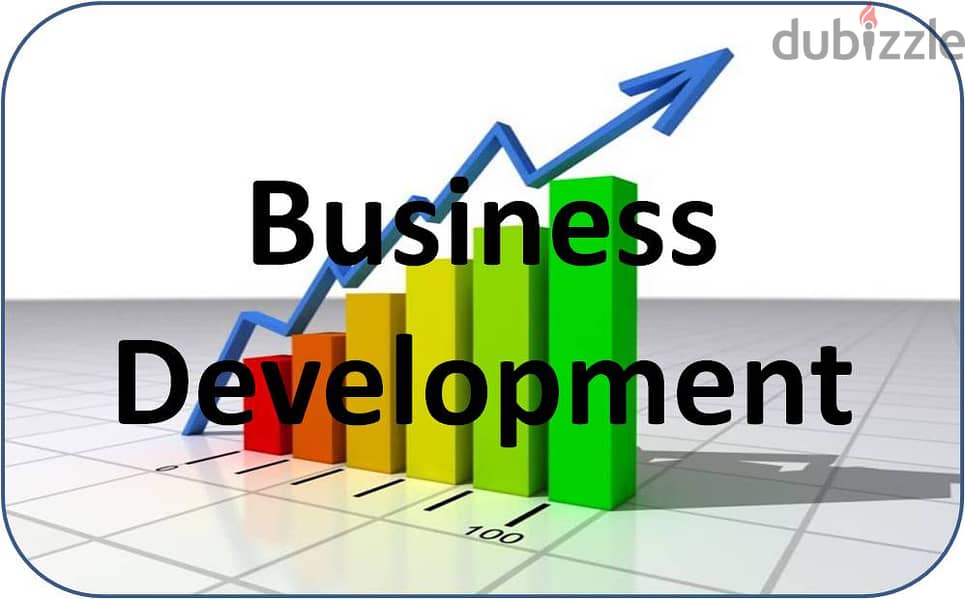 Business Development Manager 0