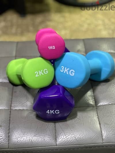 dumbells neoprene new