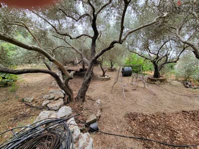 RWB215AH - Land for rent in Jbeil - Breij