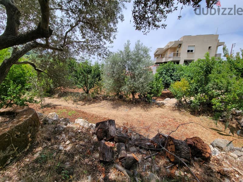 RWB215AH - Land for rent in Jbeil - Breij 5