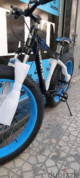 26"fat bike (2024 3