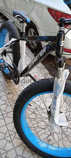 26"fat bike (2024 4