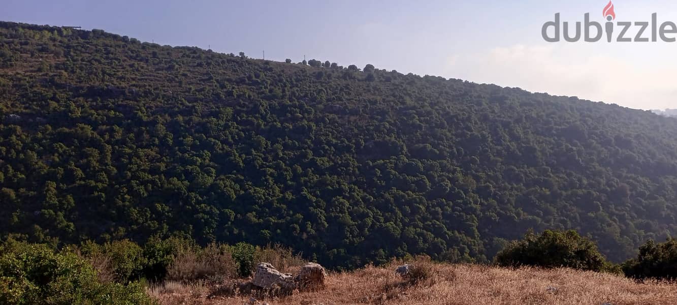 Land for sale in Batroun ارض للبيع في بترون 3