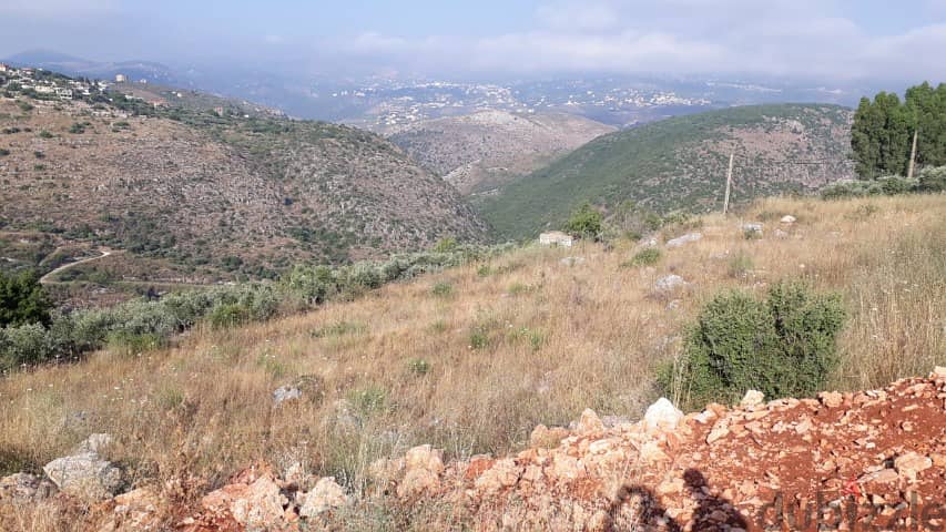 3 Plots For Investments / Banglows,Restaurants | Sarba Nabatieh 1