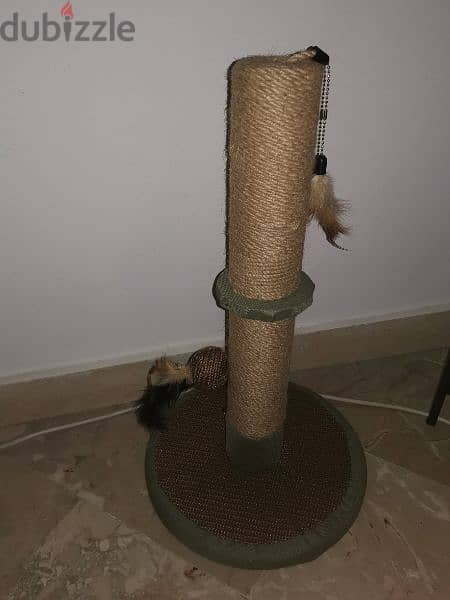 cat play tunnel, scratching post, cat bed, cat basket, all for60$ 0