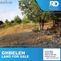 Land for sale in ghbeleh - أرض للبيع في غباله 0