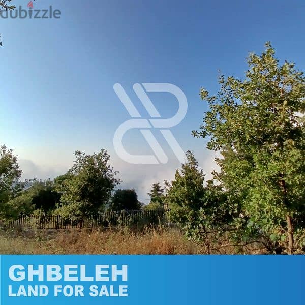 Land for sale in ghbeleh - أرض للبيع في غباله 2