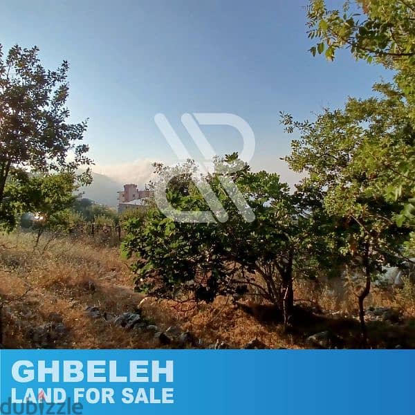 Land for sale in ghbeleh - أرض للبيع في غباله 3