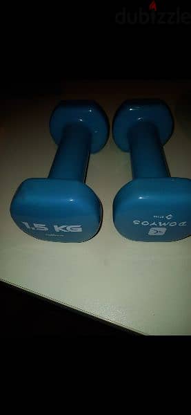 dumb bells