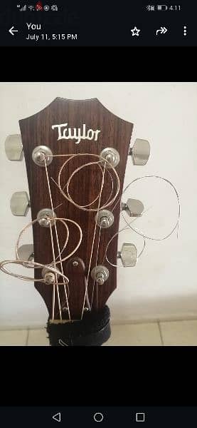 Taylor steel 1