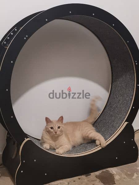 High quality cat exercise wheel / treadmill 1