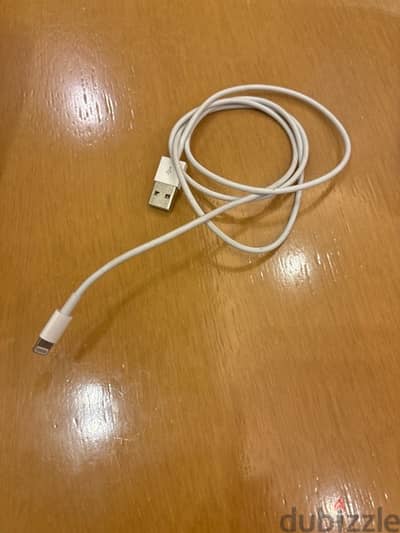 Original iPhone charging cable + power bank