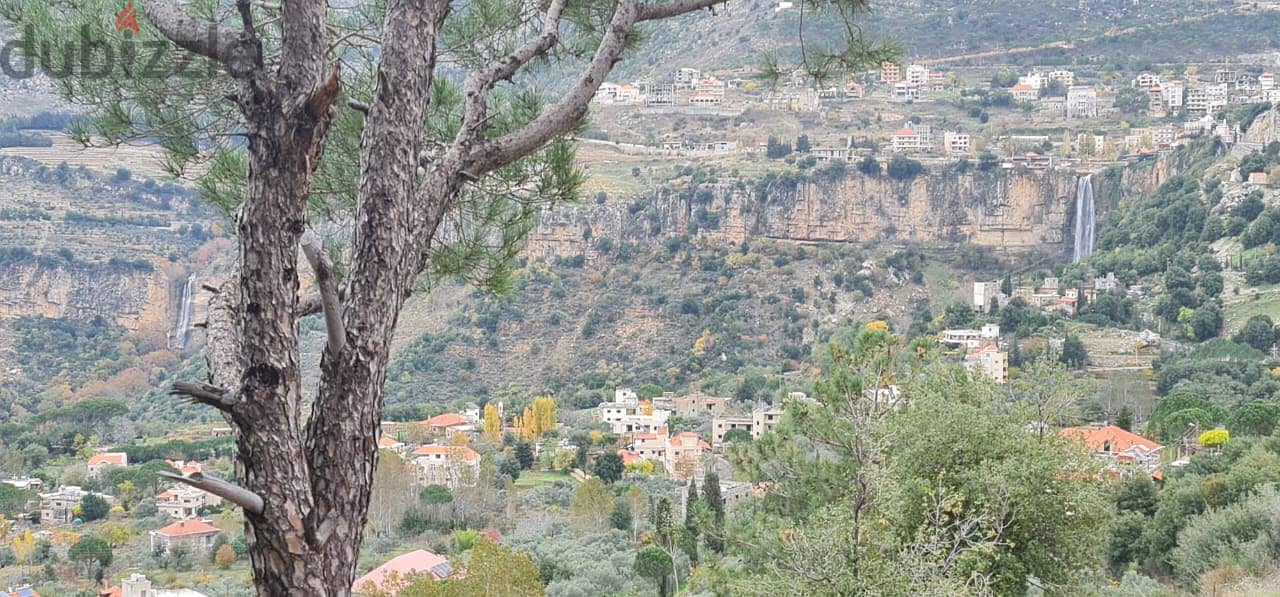 2820 Sqm |Land For Sale In Bkassine , Jezzine |Panoramic Mountain View 0