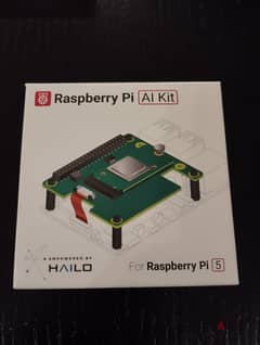 Raspberry Pi AI kit