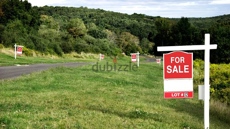 Land for sale in Ain Saade ارض للبيع في عين سعادة 2