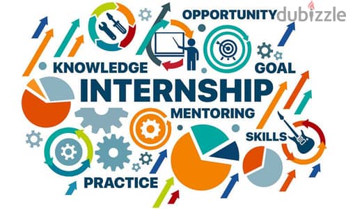 Paid Internship for University Students