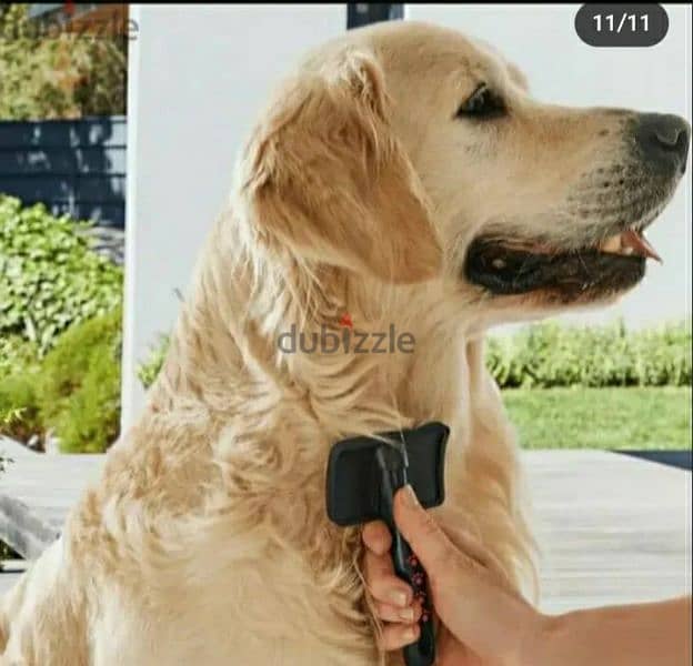 ZOOFARI PET HAIR TRIMMER. with 13 pcs of accessories/3$delivery 8