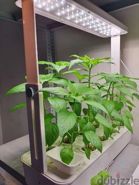 LED Grow Hydroponic Mini Garden 0