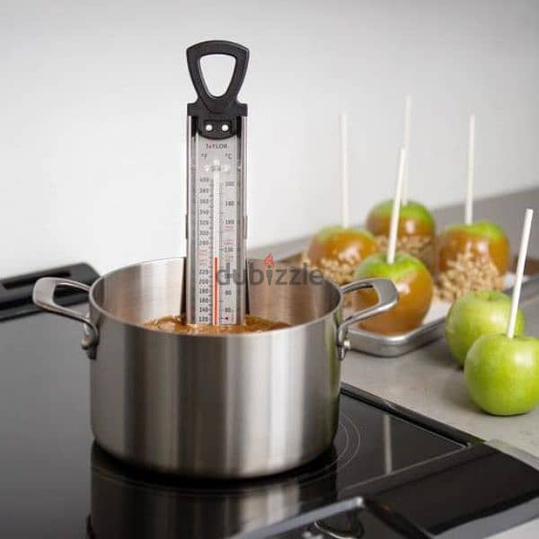 taylor food thermometer 1