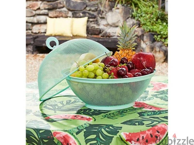 fruit basket/ernesto 1