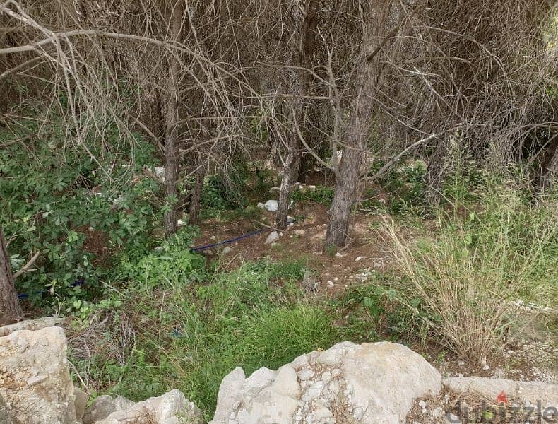 Land in Bickfaya,Aamrieh(panoramic view) عقار للبيع في بكفيا 2