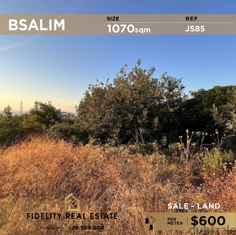 Land for sale in Bsalim JS85 أرض للبيع في بصاليم 0