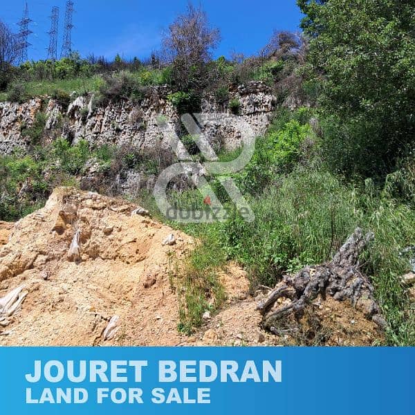 Land for sale in Jouret Bedran Ghbeleh - أرض للبيع في جورة بدران/غبالة 3