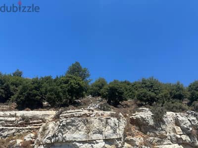 Land for sale in Assia-Batroun ارض للبيع في آسيا-البترون