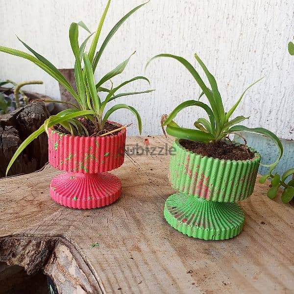 handmade concrete plants pot كونكريت زرع 3