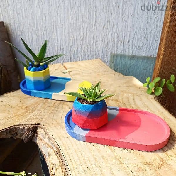 handmade concrete plants pot كونكريت زرع 8