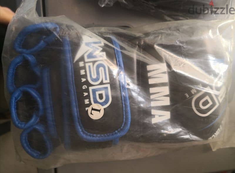 taekwondo gloves & boxing pads 4