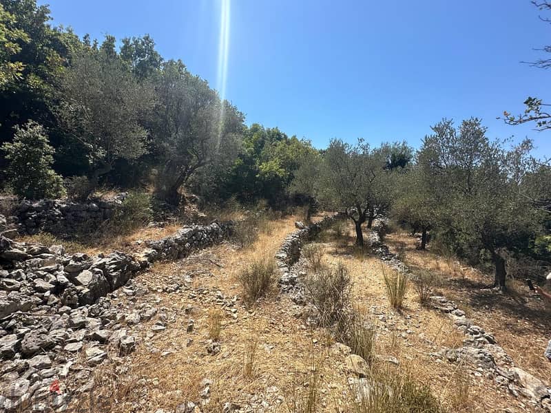 Land for sale in Assia-Batroun ارض للبيع في آسيا-البترون 1